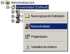 nuevaentidad.png